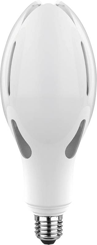 Une ampoule LED blanche avec une base de vis argentée, présentée en vue de face sur un fond uni.