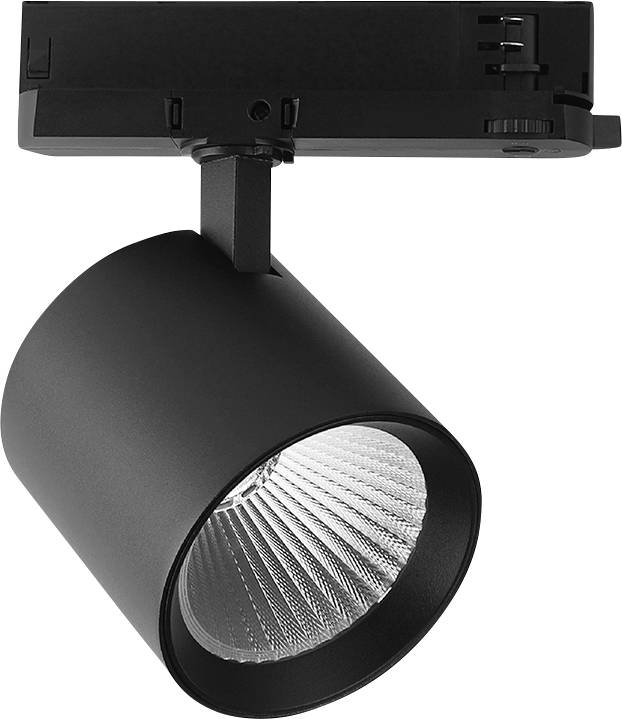 Luminaire de piste réglable noir avec un projecteur cylindrique monté sur une piste de plafond.