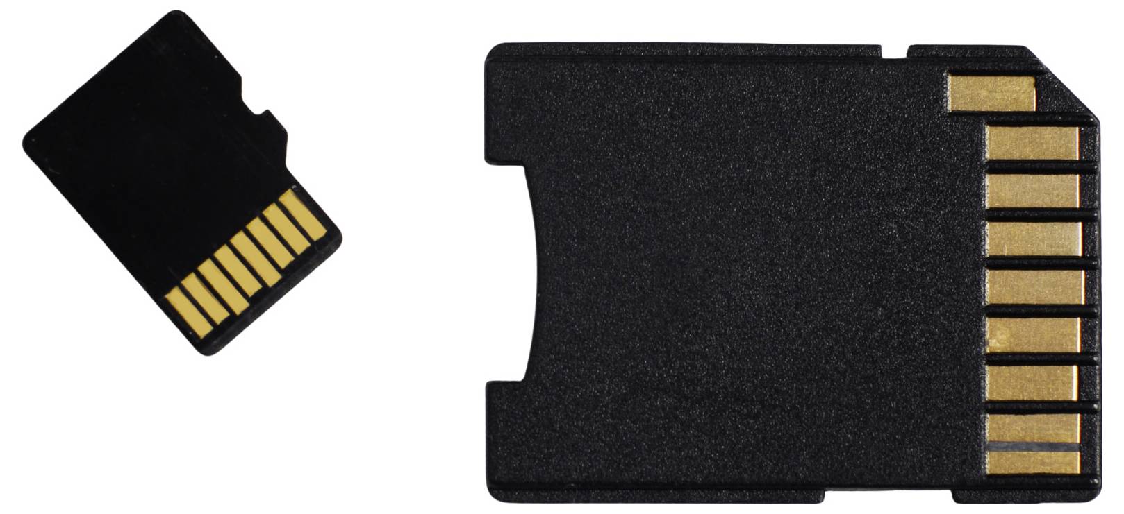 Deux cartes mémoire SD présentées côte à côte : une petite carte microSD à gauche et une carte SD de taille normale à droite.