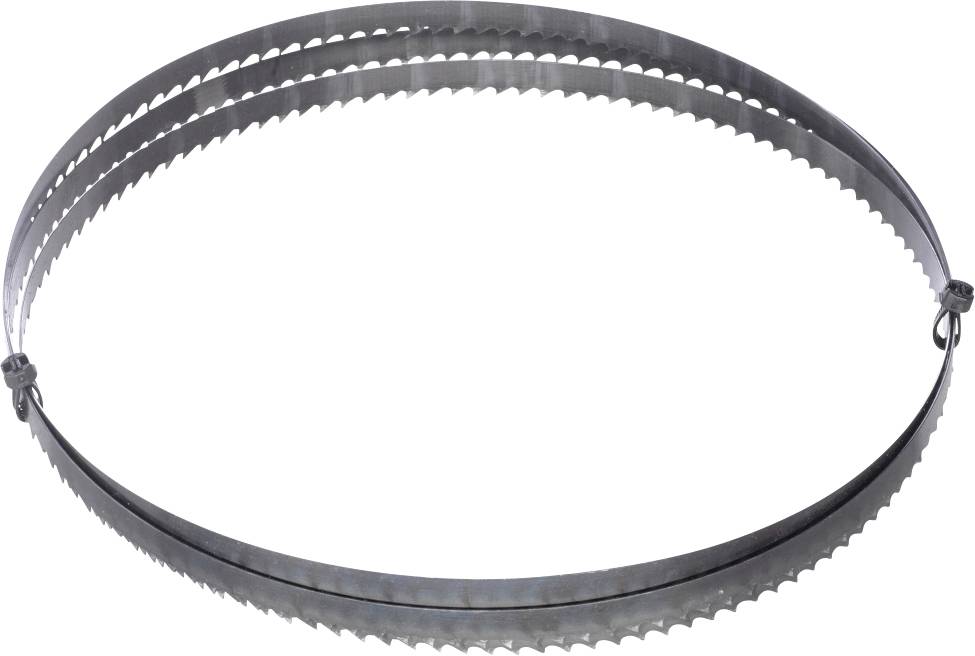 Une lame de scie à ruban circulaire en métal avec des dents dentelées, présentée enroulée en boucle sur un fond blanc.