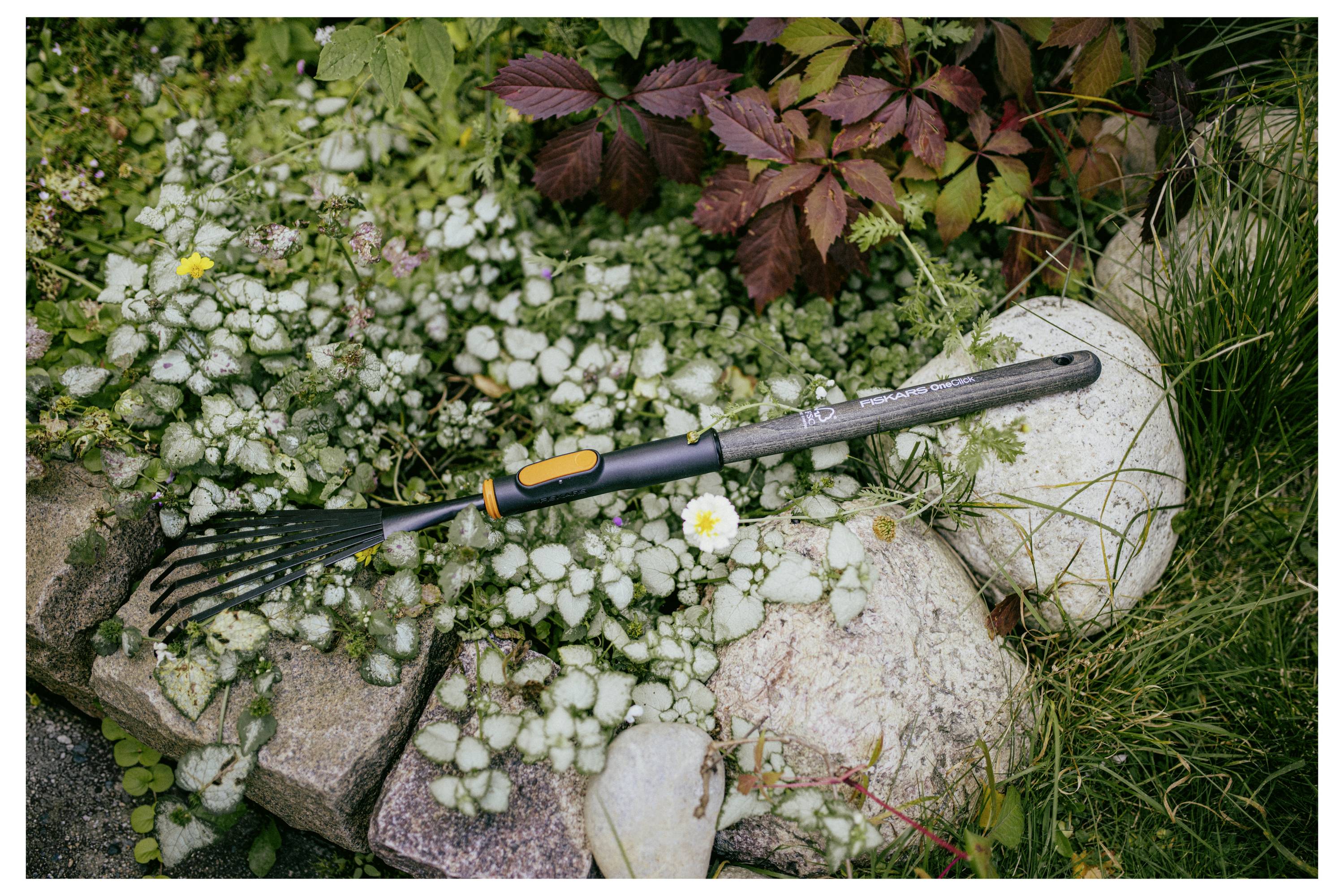 Un râteau de jardin à main reposant sur des roches au milieu d'une couverture végétale et de l'herbe, avec une pierre blanche et des feuilles rougeâtres à proximité.