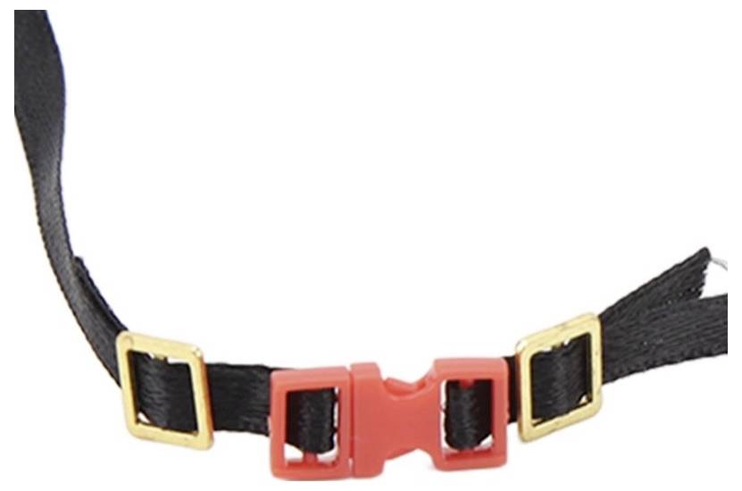 Sangle noire avec boucles dorées et une agrafe centrale en plastique rouge sur fond blanc.