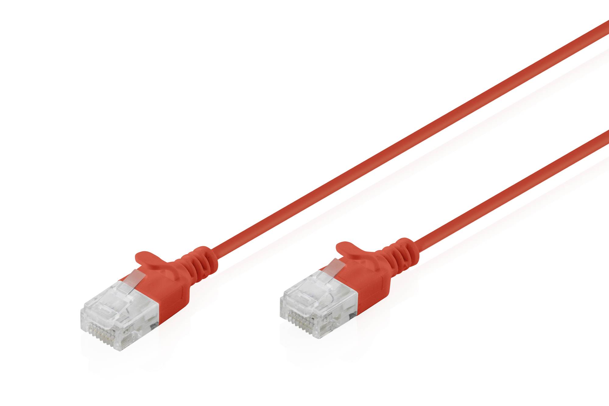 Deux câbles Ethernet rouges avec des connecteurs RJ45 transparents sur un fond blanc.