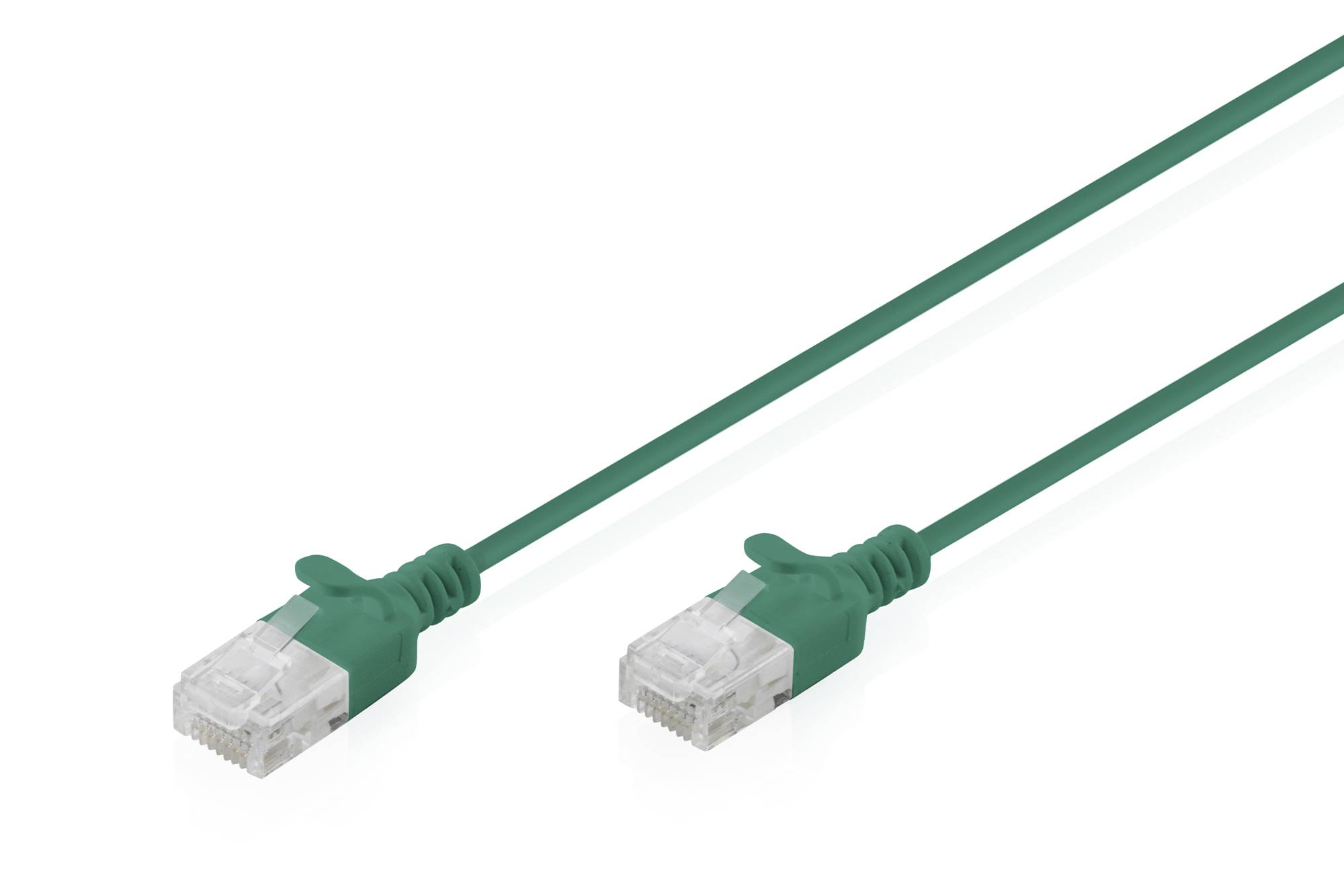 Deux câbles Ethernet verts avec des connecteurs RJ45 transparents sur fond blanc.