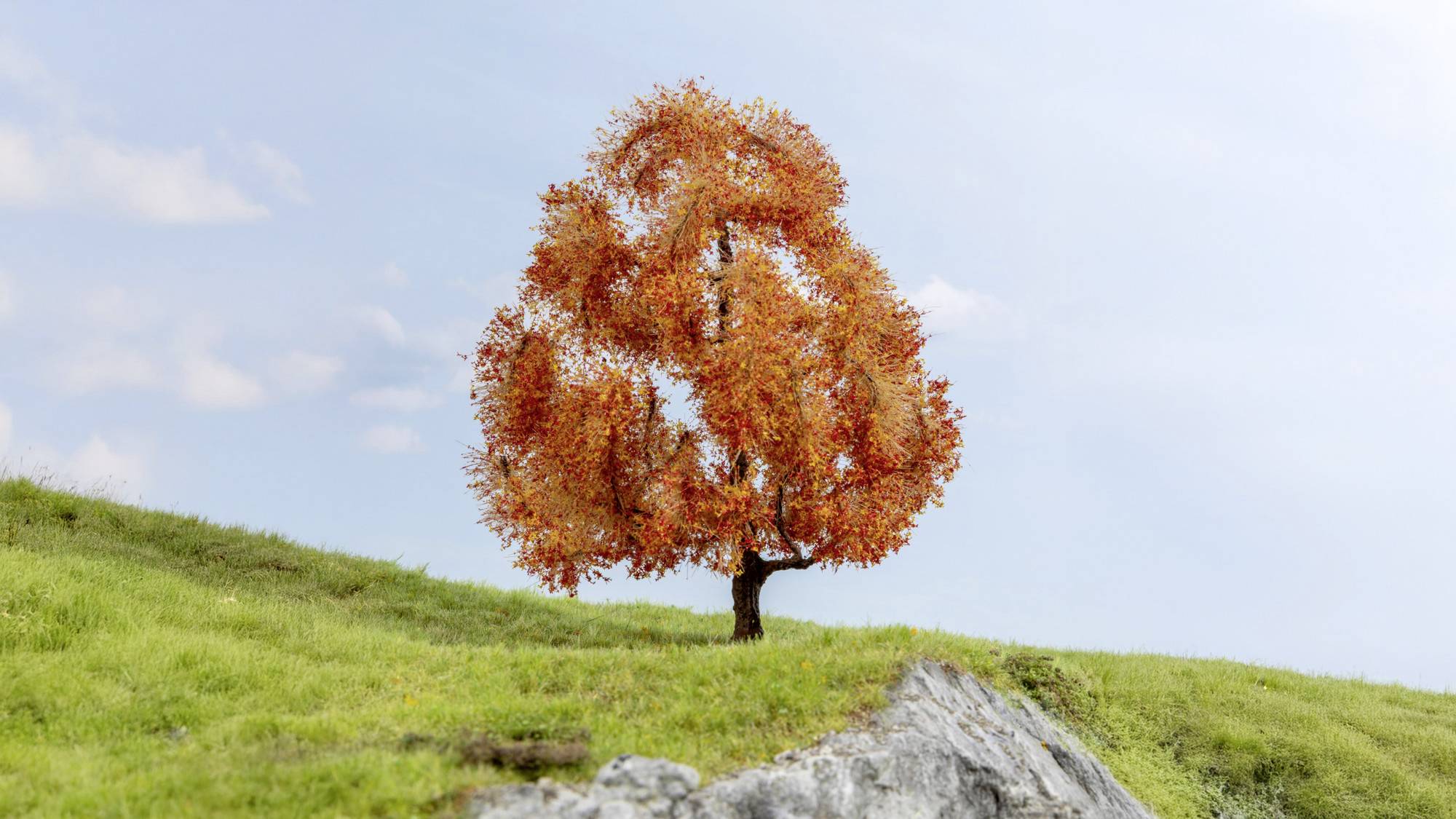 Un seul arbre aux feuilles oranges sur une colline herbeuse sous un ciel bleu pâle, évoquant l'automne.