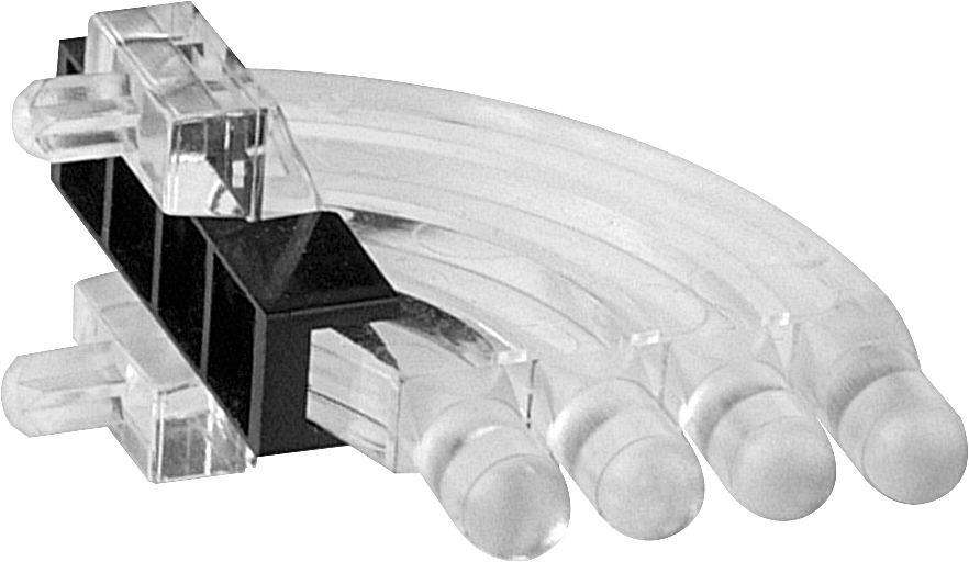 Gros plan d'une fiche connecteur Ethernet RJ45, montrant le clip en plastique transparent et les huit fils de câble à l'intérieur du connecteur translucide.
