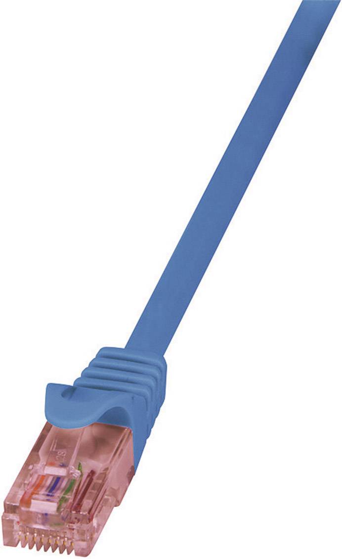 Un câble réseau bleu avec une prise transparente.