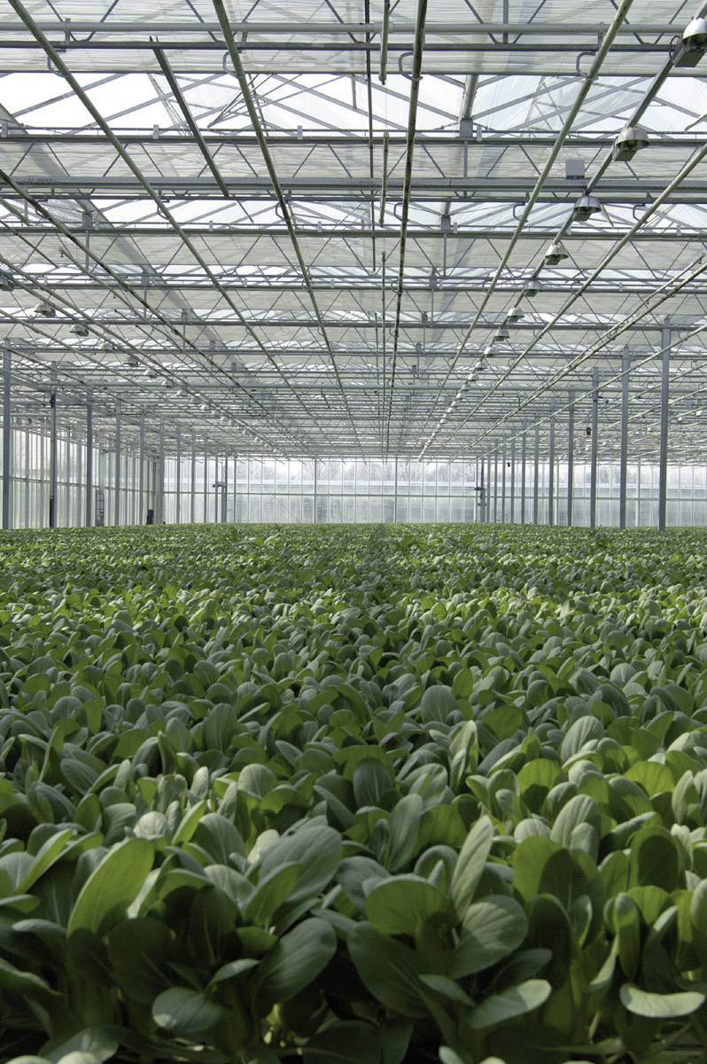 Enregistreur de données multifonction Lascar Electronics EL-USB-2-LCD+ Valeur de mesure température, humidité de l'air -35 à