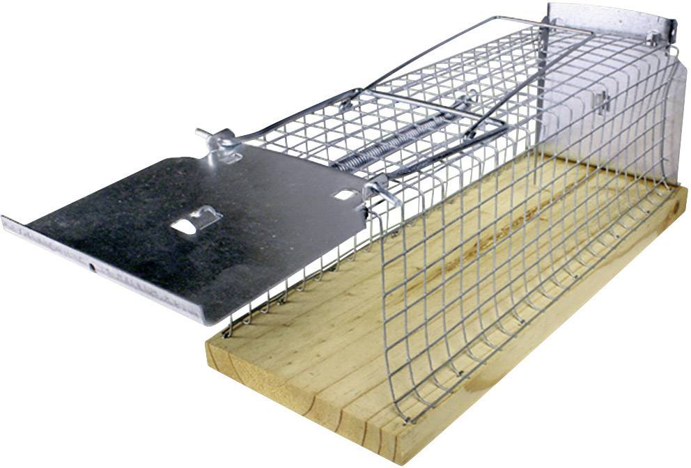 Piège à insectes Swissinno 1 585 001 pour l'intérieur/extérieur