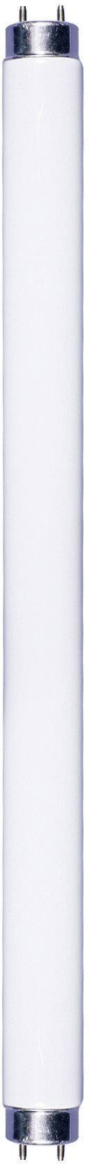 Tube UV 10 W pour l'intérieur Swissinno UVA 10W T8 TUBE_T8-10W 1 pc(s)
