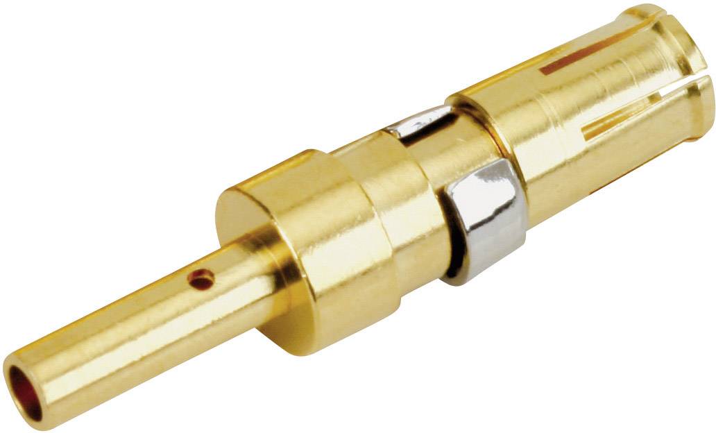 Connecteur électrique doré de forme cylindrique à plusieurs segments. Il est utilisé pour raccorder des câbles.