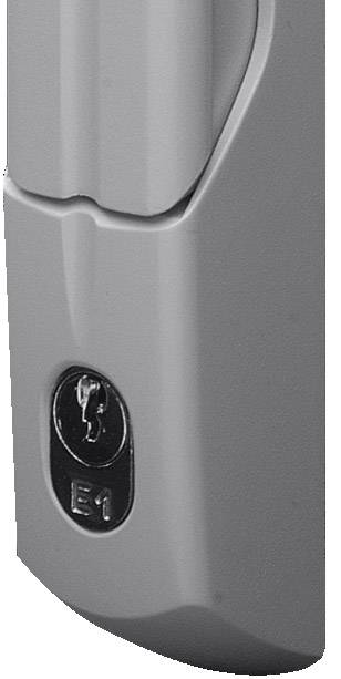 Poignée confort Rittal TS 8611.045 8611.045 avec dispositif à cylindre de sécurité gris clair (RAL 7035) 1 pc(s)