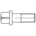 Vis carrée TOOLCRAFT 107936 50 pc(s) M8 30 mm tête carrée 4 pans acier N/A