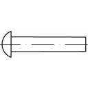 TOOLCRAFT 112192 Rivet demi-rond (Ø x L) 6 mm x 25 mm acier 250 pc(s)