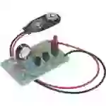Détecteur de mensonges en kit Détecteur de mensonges en kit