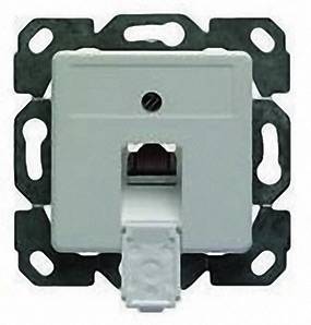 Prise réseau encastré insert avec plaque centrale CAT 5e 1 port Telegärtner J00020A0419 blanc-alpin