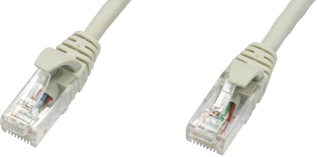 Deux câbles Ethernet beiges avec des connecteurs transparents montrant les fils internes, sont disposés côte à côte sur un fond blanc.