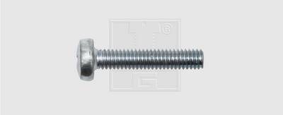 Assortiment de vis filetées SWG 4009146053204 100 pc(s) M6 16 mm tête bombée cruciforme acier N/A