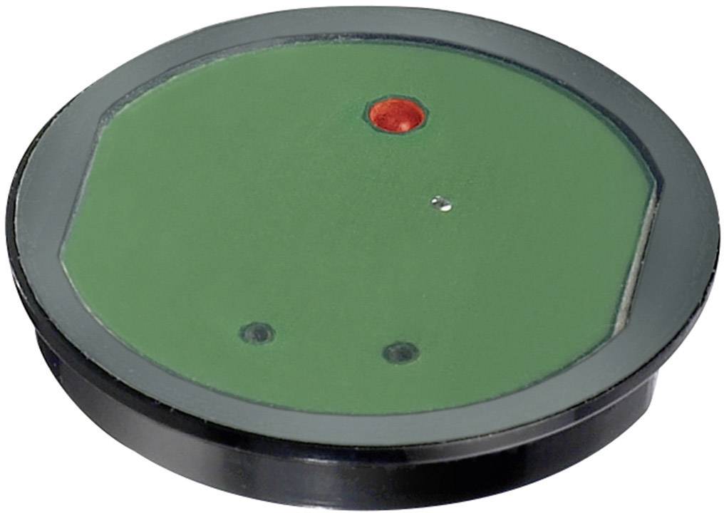 Objet rond de couleur vert et noir avec un point rouge au centre. La fonction ou l'objectif de l'objet reste indéterminé.