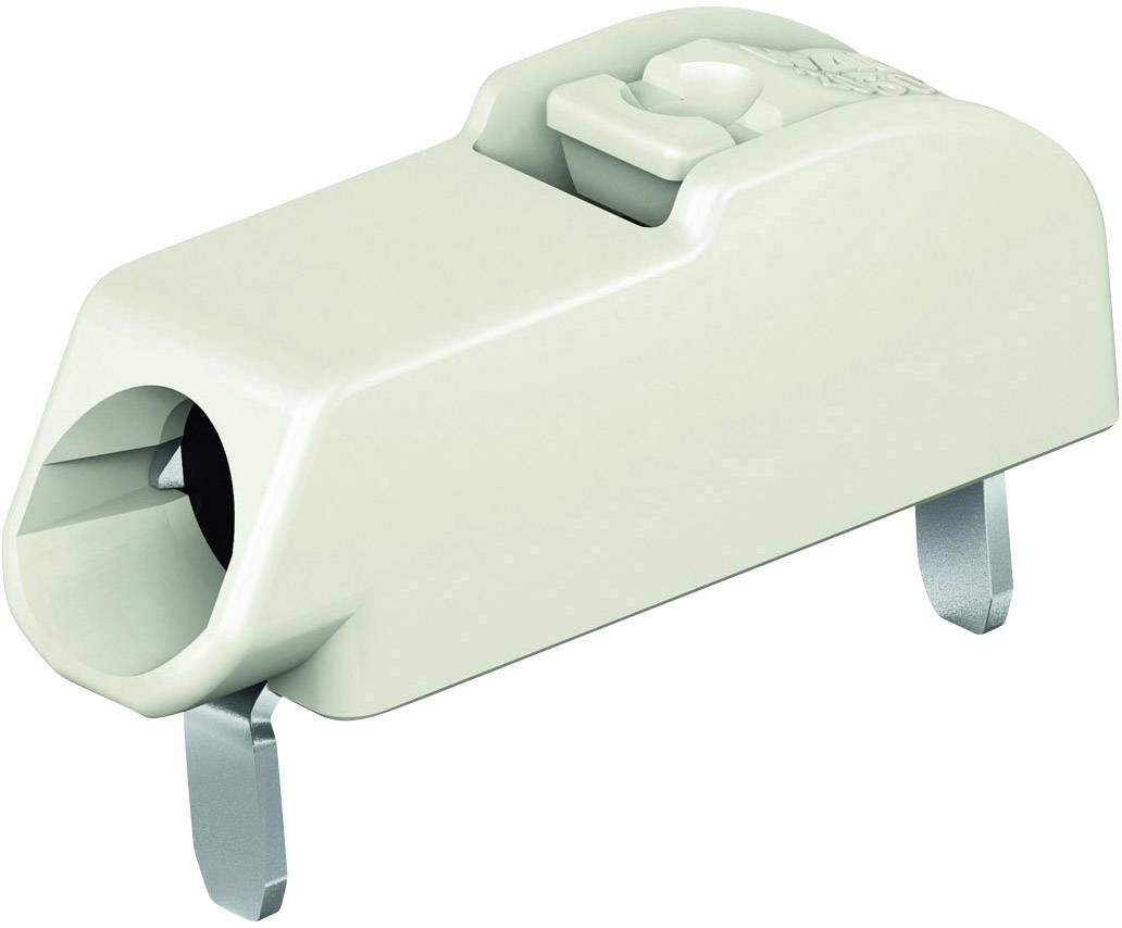 Bornier à ressort WAGO 2060-1401/998-404 0.75 mm² Nombre de pôles 1 gris clair