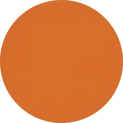 Un cercle uni d'un orange vif et éclatant.
