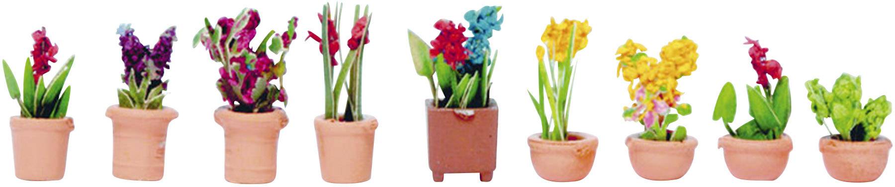 Huit petits pots de fleurs alignés, chacun contenant une plante exotique d'une couleur différente, allant du violet au vert de gauche à droite.