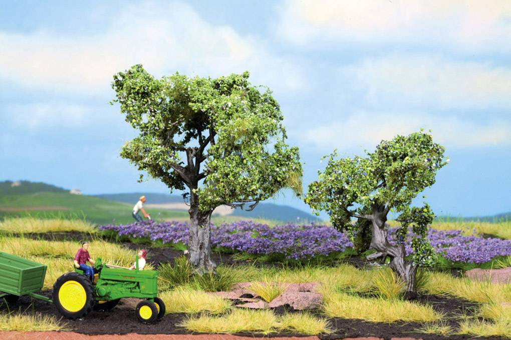 Assortiment d'arbres olivier NOCH 21995 60 à 90 mm vert moyen 2 pc(s)