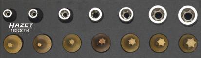 Jeu d'embouts Torx de différentes tailles de 'Hazet', présenté en rang ordonné sur un support noir.