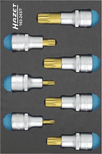 'Jeu de embouts Torx avec têtes bleue et dorée, au total sept pièces, dans un insert en mousse avec inscription 