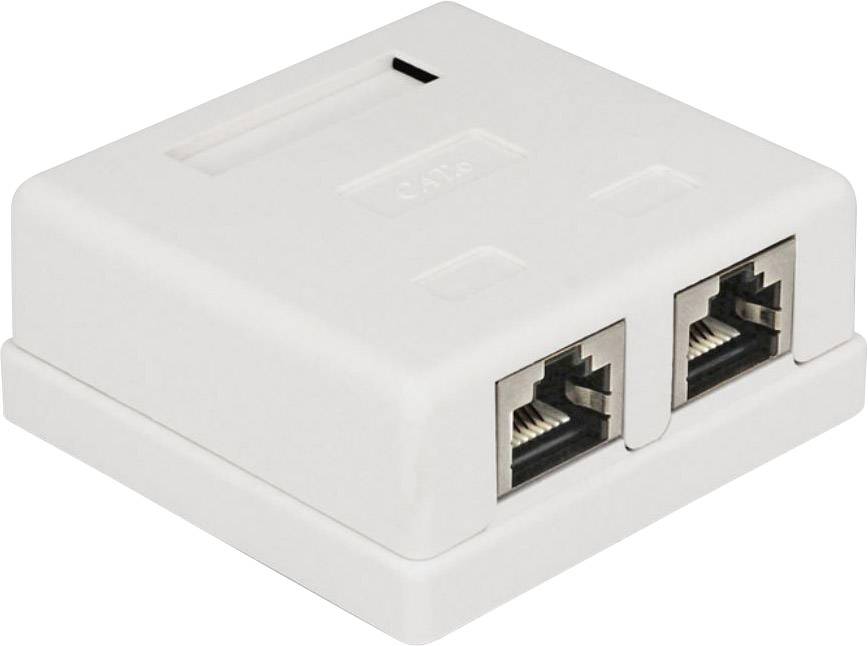 Prise réseau encastré insert avec plaque centrale et châssis CAT 6 2 ports Delock 86269 blanc