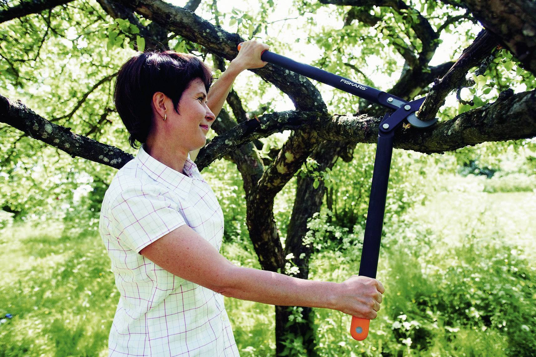 Une femme coupe des branches avec un sécateur dans un jardin ensoleillé. Elle porte une chemise à carreaux.