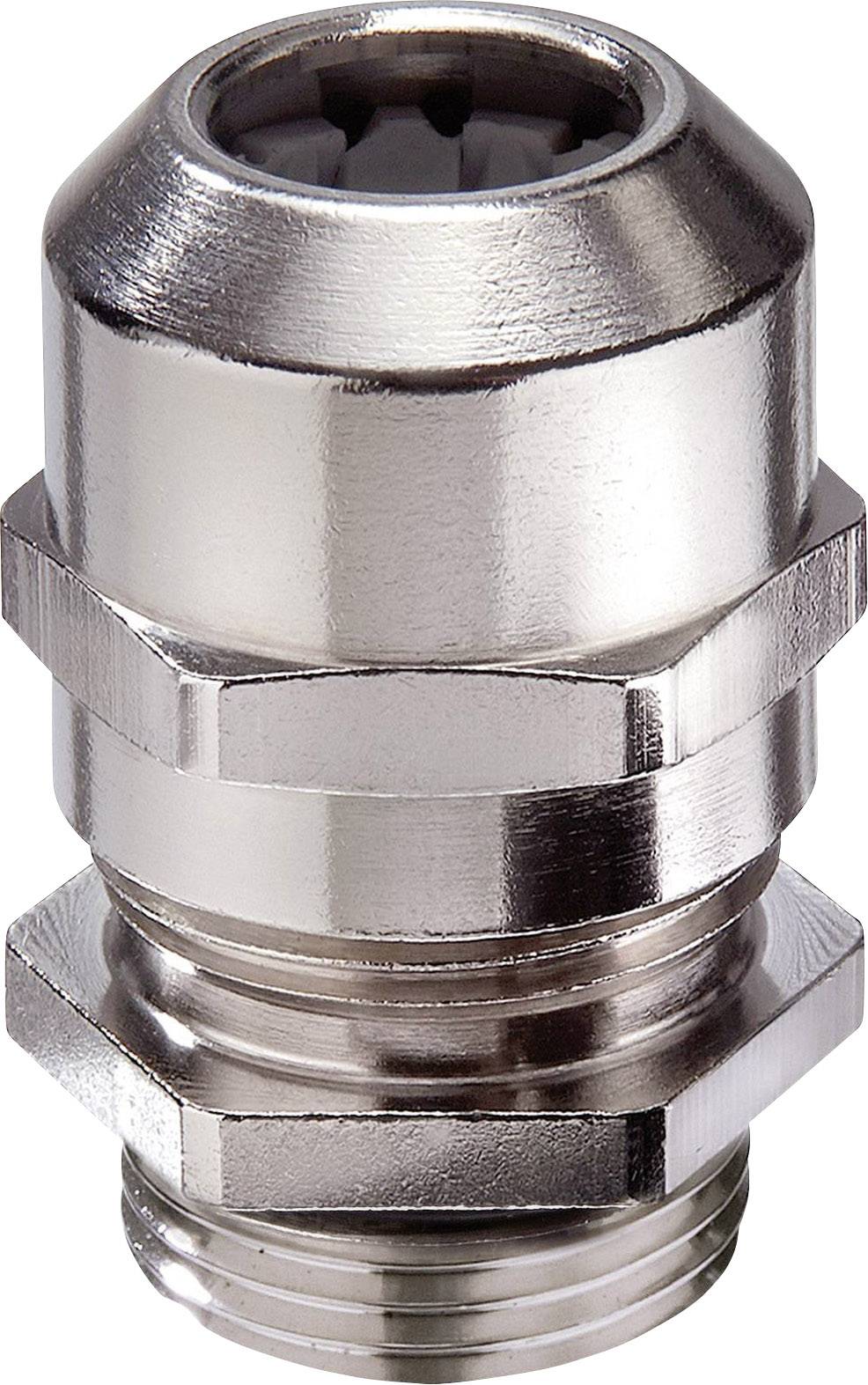 Presse-étoupe métallique pour connexions électriques, couleur argent, avec écrou hexagonal et extrémité filetée.