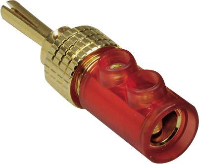 Un connecteur banane doré avec un boîtier en plastique rouge, utilisé pour connecter en toute sécurité les câbles audio aux enceintes.
