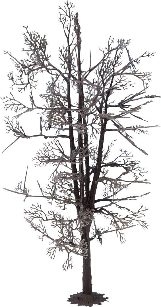 Un arbre dénudé sans feuilles se tient droit, ses branches ramifiées sont clairement visibles.