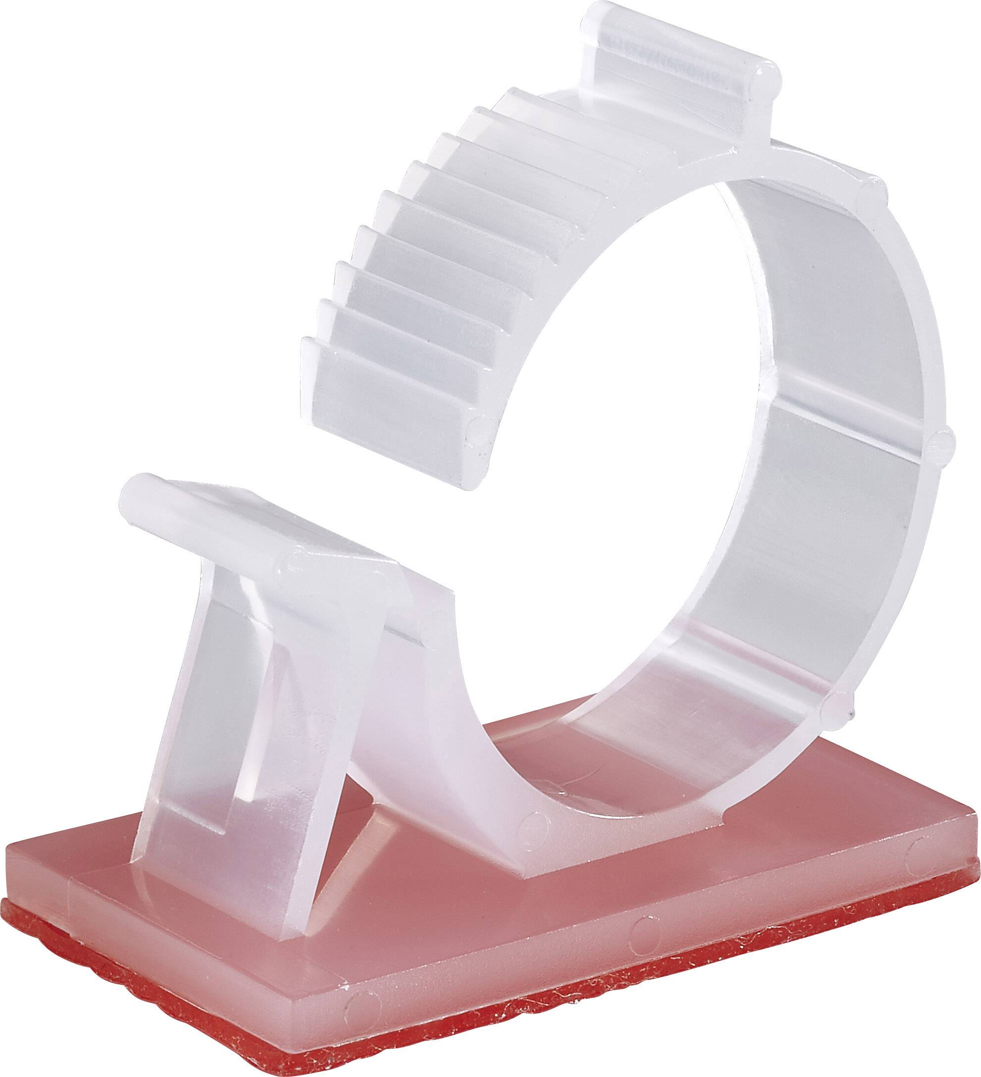 Un anneau en plastique transparent à bord dentelé, fixé sur une base rouge.