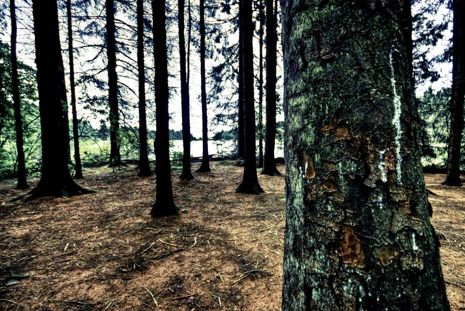 Boussole Highlander Lensatic COM028