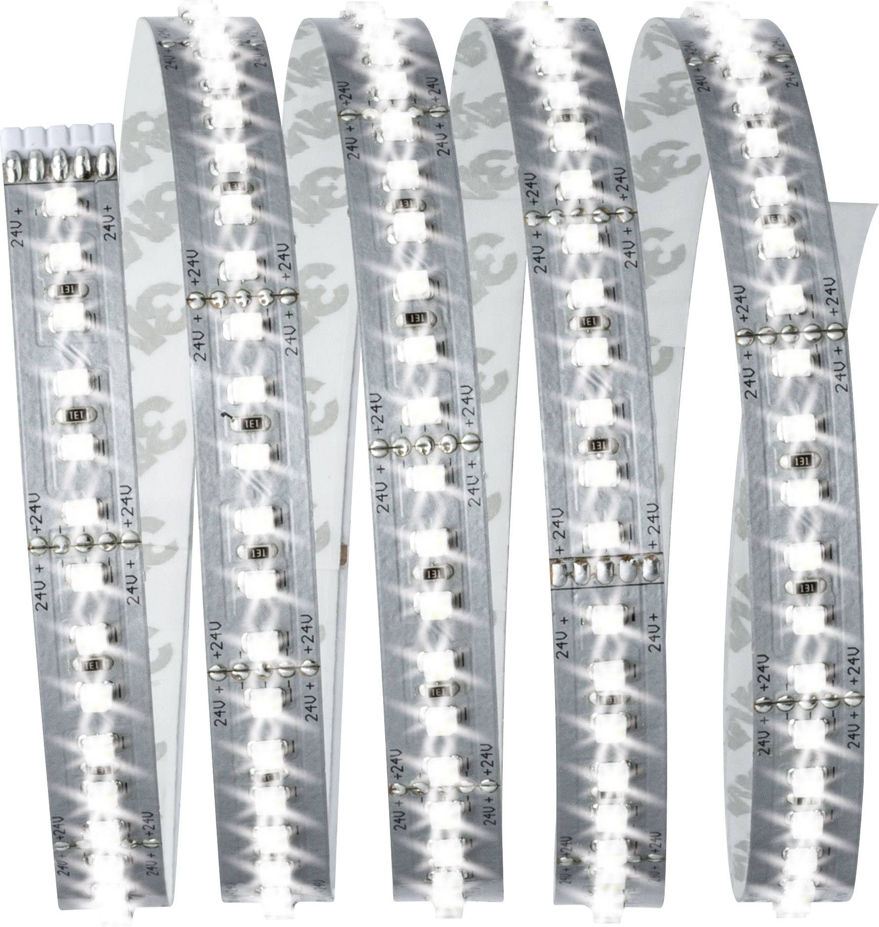 Paulmann MaxLED 1000 70586 Ruban LED (Base) avec connecteur mâle 24 V 1.5 m blanc lumière du jour 1 pc(s)