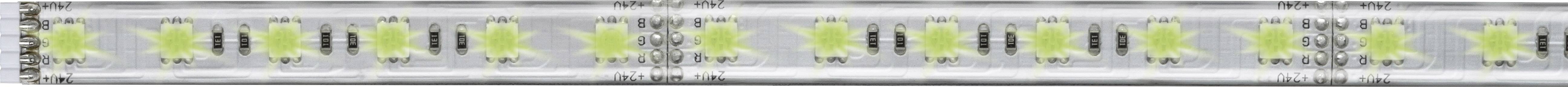 Paulmann MaxLED 1000 70657 Ruban LED (Extension) avec connecteur mâle 24 V/DC 1 m RVB