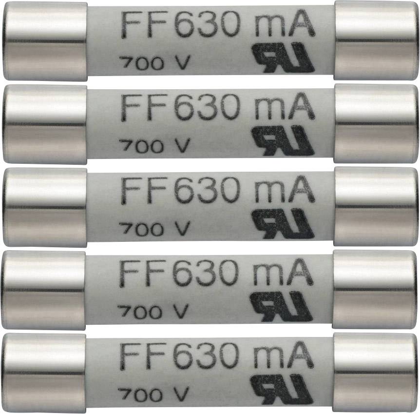 Cinq fusibles portant l'inscription 'FF630 mA 700 V'. Ils sont cylindriques et alignés les uns à côté des autres.