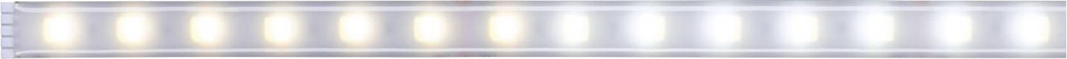 Paulmann MaxLED Tunable White 70630 Ruban LED (Extension) avec connecteur mâle 24 V 1 m blanc chaud, blanc neutre, blanc lumière