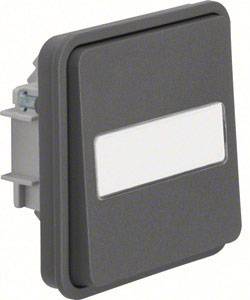 Bouton-poussoir Berker 50763555 W.1 apparent gris, gris clair