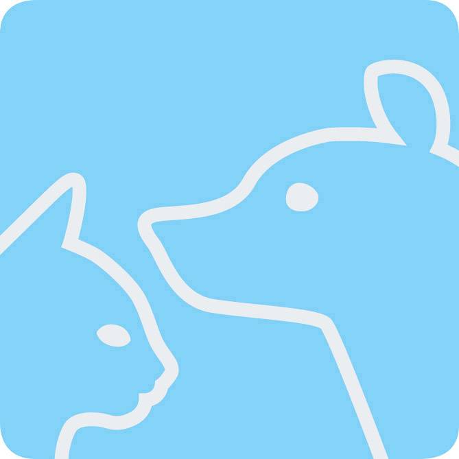 Une silhouette stylisée d'un chat et d'un chien en blanc sur un fond bleu, symbolisant l'affection et l'amitié entre les animaux.