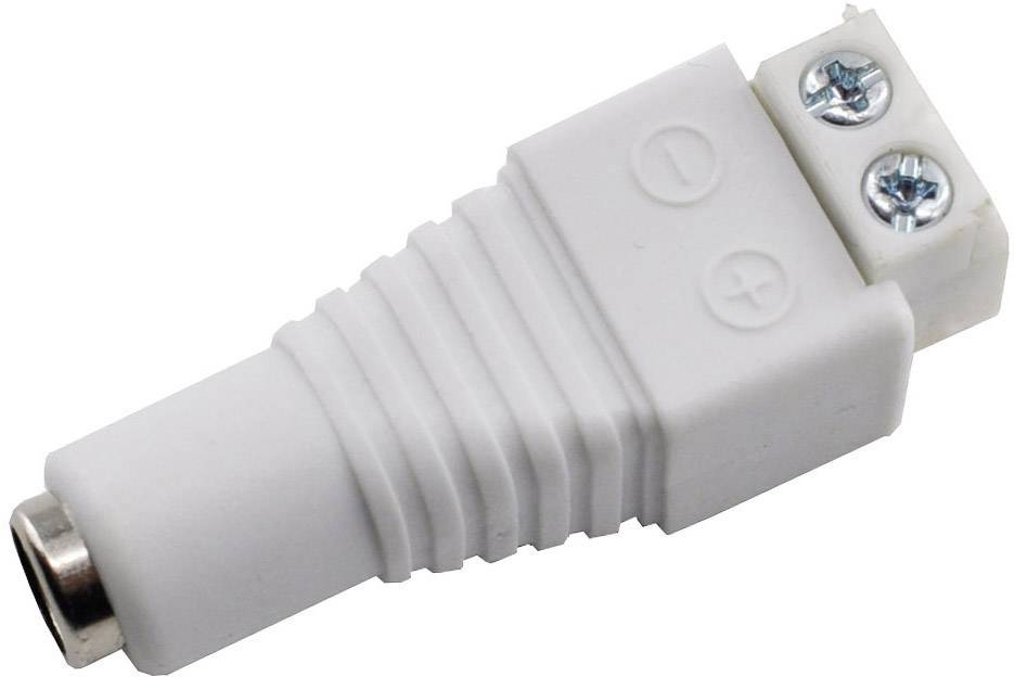 Adaptateur DC blanc avec bornes à vis. Les signes plus et moins indiquent la polarité.