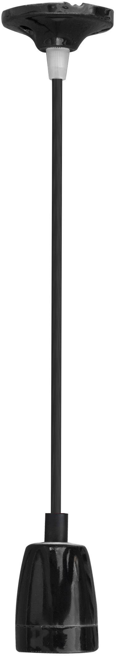 Luminaire à suspendre 1x E27 sans ampoule Segula Nostalgic 50577 noir 1 pc(s)