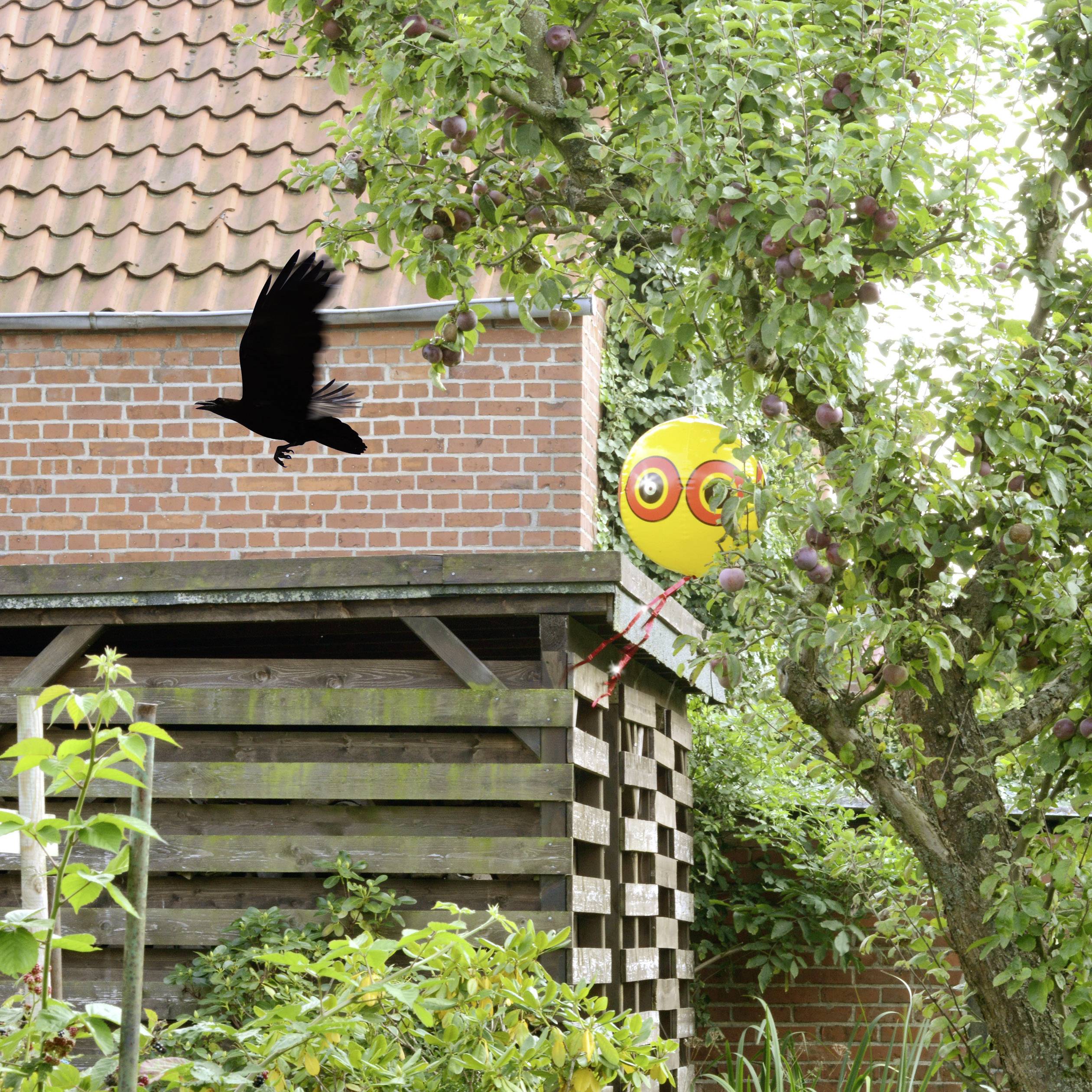 Repousseur d'oiseaux effet dissuasif Gardigo 60094OF pour l'extérieur