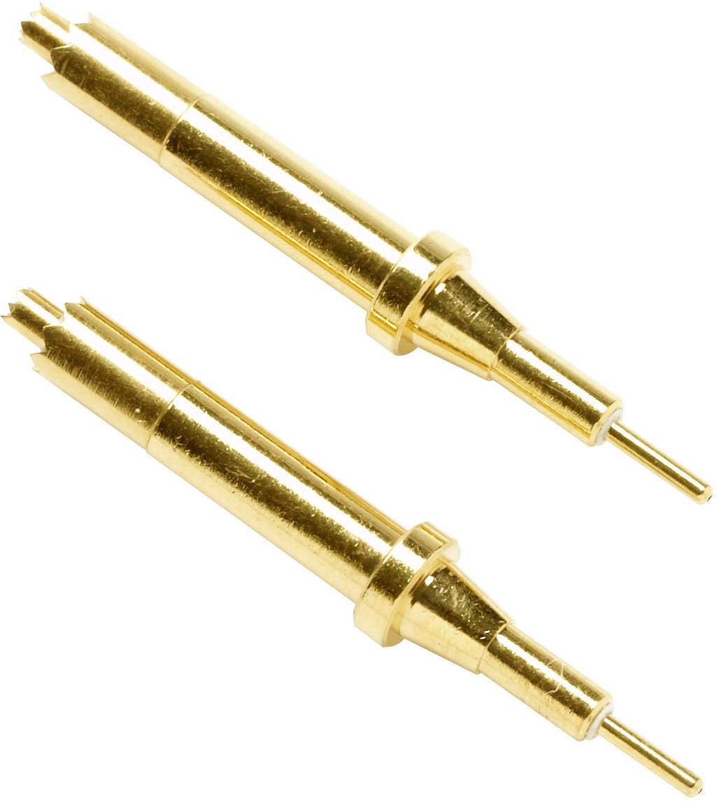 Deux contacts en broches de couleur dorée, coniques et effilés, probablement des composants d'un connecteur électrique.