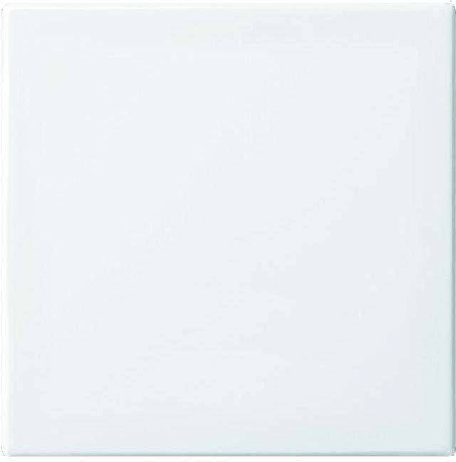 Cache Busch-Jaeger 2506-914 blanc-alpin