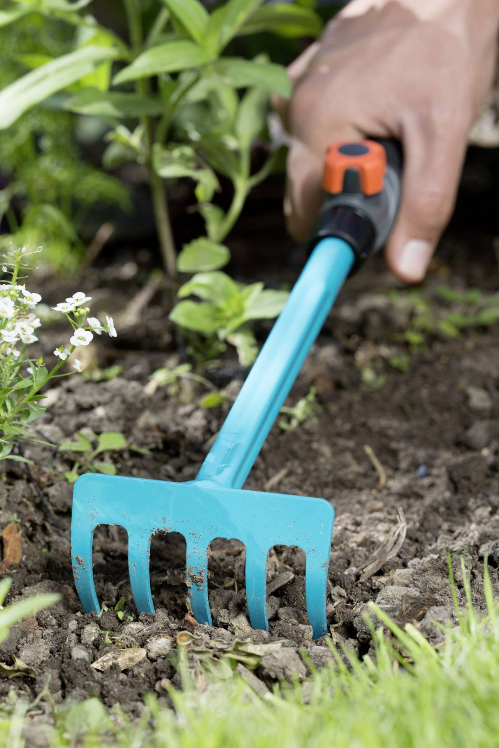Une main tenant une petite fourche de jardin bleue ameublit la terre dans un jardin, entourée de plantes et d'herbe.