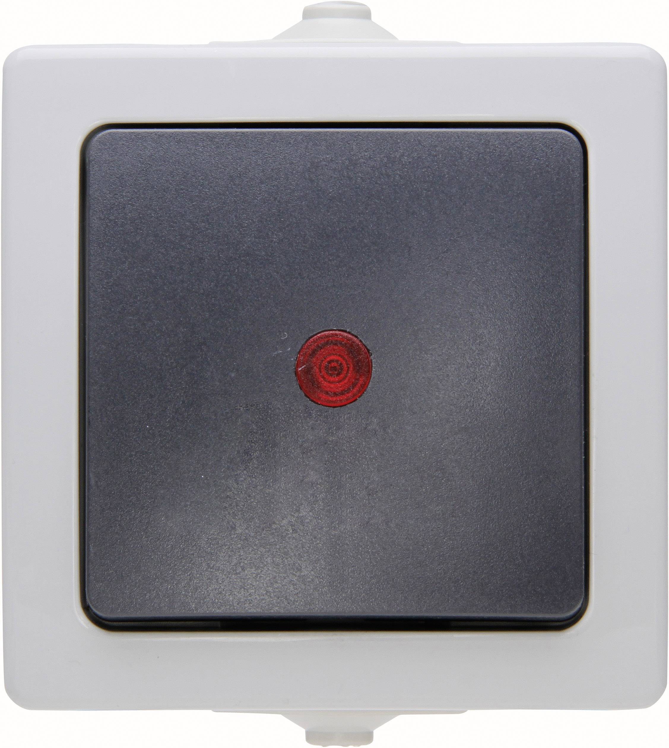 Interrupteur avec témoin lumineux Kopp 566656002 Nautic gris