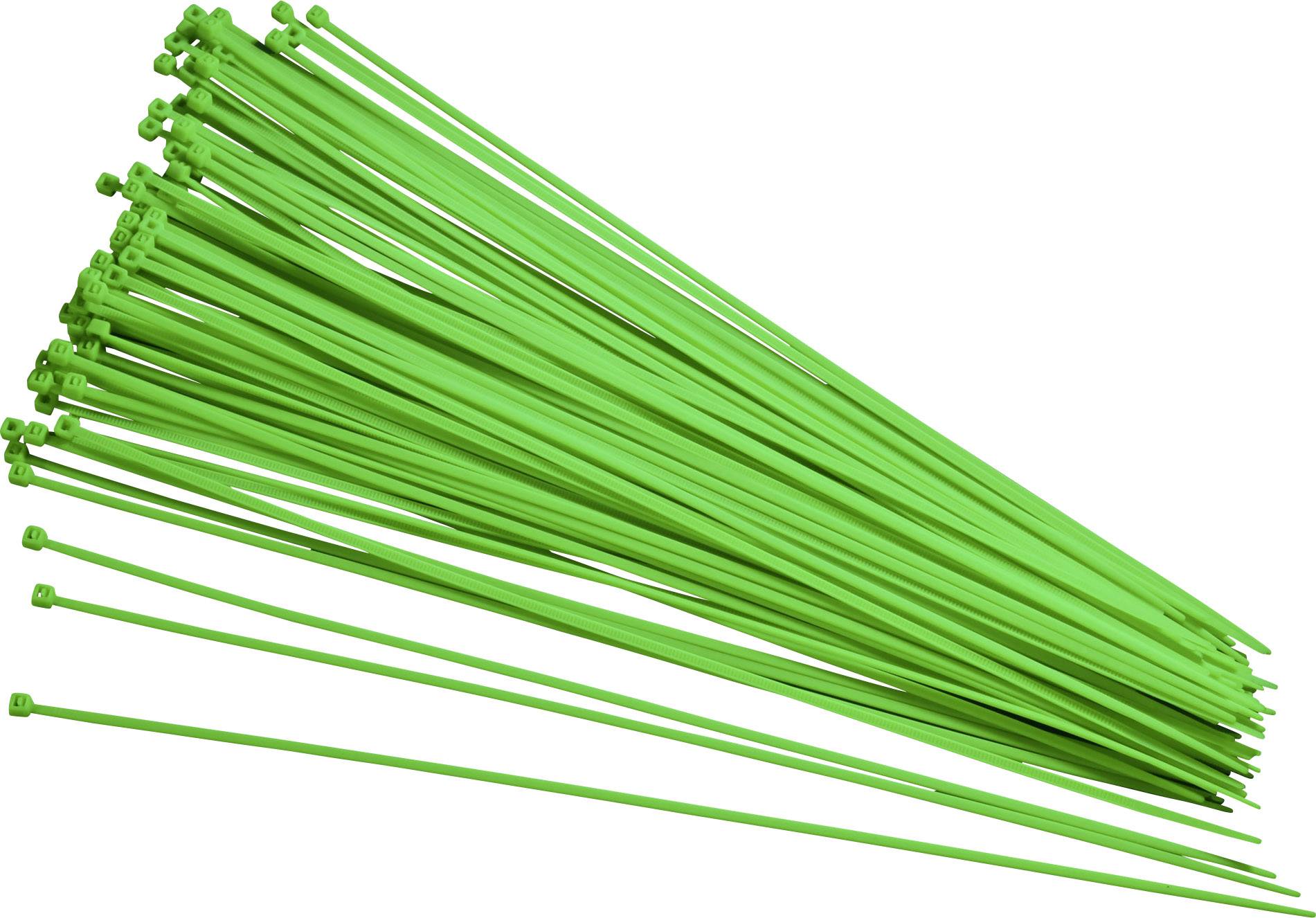 TRU COMPONENTS 93038c420 Serre-câble 300 mm 2.80 mm vert rémanent 100 pc(s)